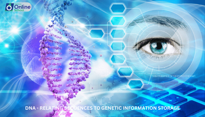 Lesson 13: DNA - Relating Sequences to Genetic Information Storage